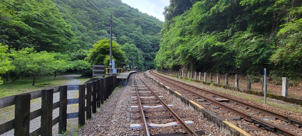 坪尻駅スイッチバック全景