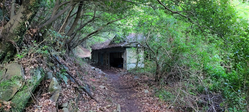 坪尻駅周辺のの廃墟